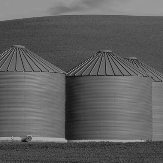 black and white image of three silos to represent agriculture