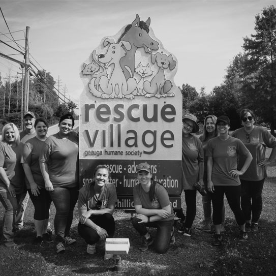 MAJESTIC STEEL USA Associate donating their time to the Rescue Village Humane Society as part of our philanthropic commitment.